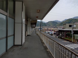 20250201_083853765.JPG