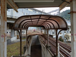 20250201_084555373.JPG