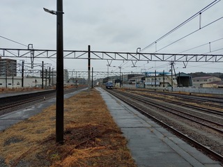 20250201_161810238.JPG