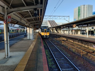 20250202_084029949.JPG