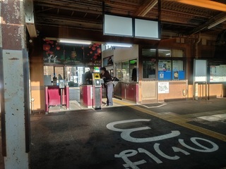 20250202_091347550.JPG