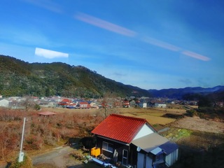 20250202_100005820.JPG