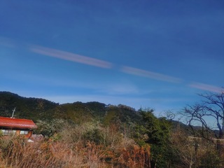 20250202_100021314.JPG