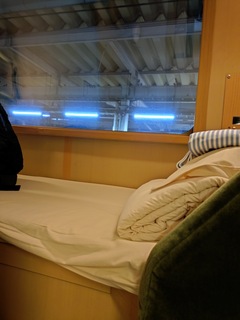 20250319_213112073.JPG