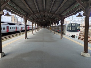 20250320_154855793.JPG