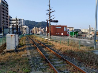 20250321_074000713.JPG