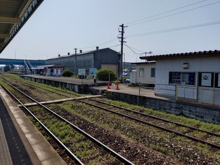 20250321_103943565.JPG