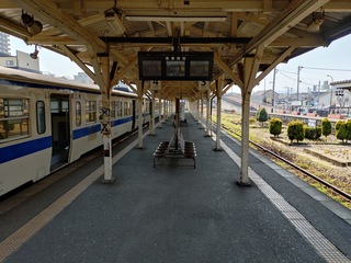 20250321_110311443.JPG