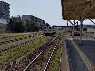 20250321_110356592.JPG
