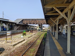 20250321_110448758.JPG