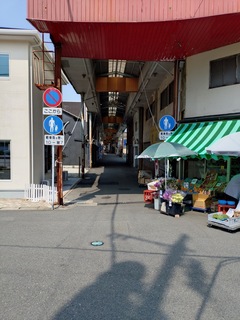 20250321_121740460.JPG