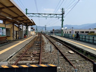 20250321_122610140.JPG