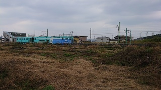 DSC_0311s.JPG