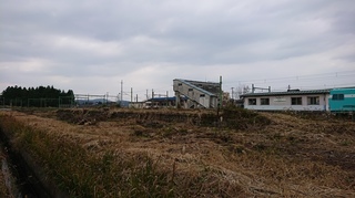 DSC_0312s.JPG
