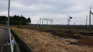 DSC_0314s.JPG