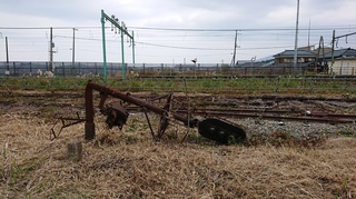 DSC_0315s.JPG