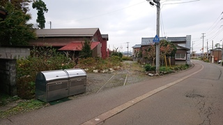 DSC_0317s.JPG