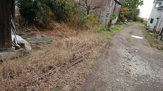 DSC_0318s.JPG
