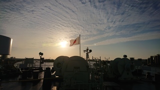 DSC_1371.JPG